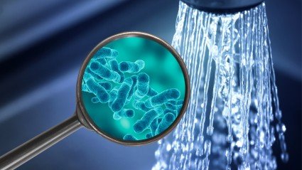 Legionella-onderzoek: het belang van risicoanalyse en watermonsters