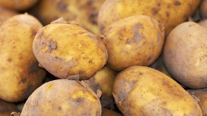 Eerste vestiging van Agristo in Verenigde Staten start in 2029 productie